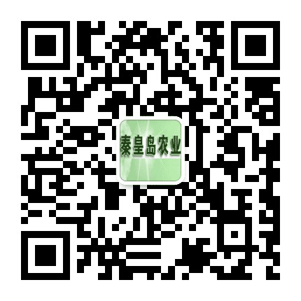 秦皇岛农业公众号二维码