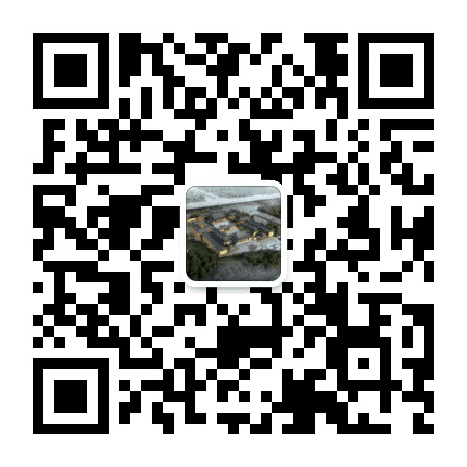 常州春江千墩禅寺公众号二维码