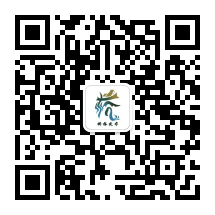 桥林发布公众号二维码