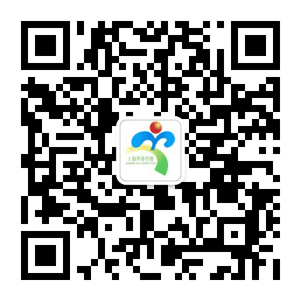 上海青春民政公众号二维码