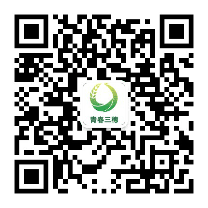 青春三穗公众号二维码