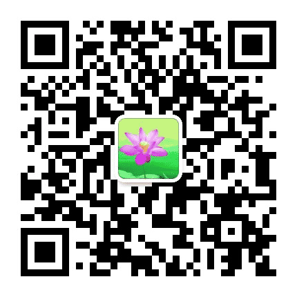 清风石龙公众号二维码