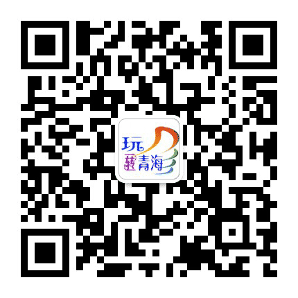 玩转青海公众号二维码