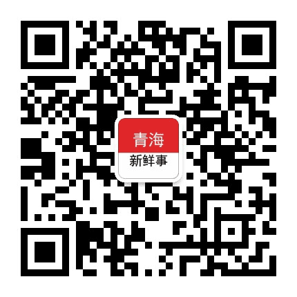 青海新鲜事公众号二维码