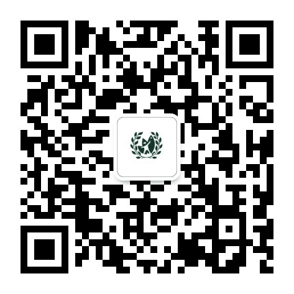 青荷橄榄公众号二维码