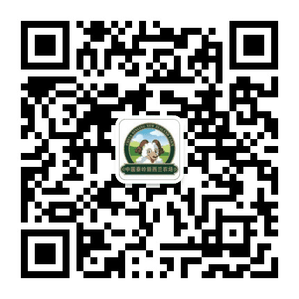 秦岭新西兰农场公众号二维码