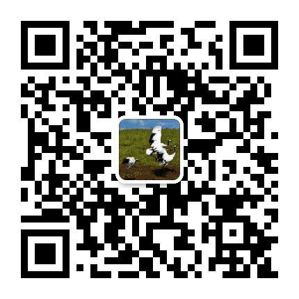 我们的齐齐哈尔公众号二维码