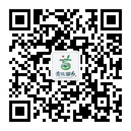 青山苗族乡公共信息服务平台公众号二维码