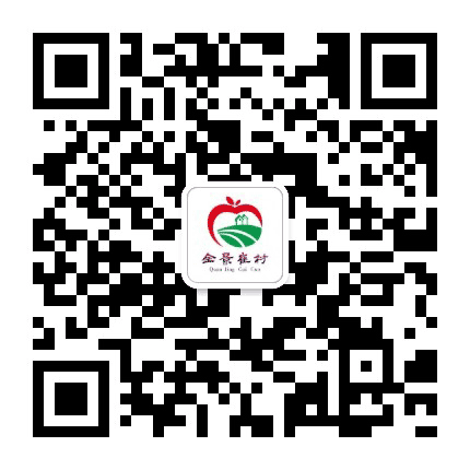 全景崔村公众号二维码