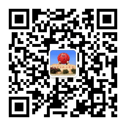 蟠龙青年公众号二维码