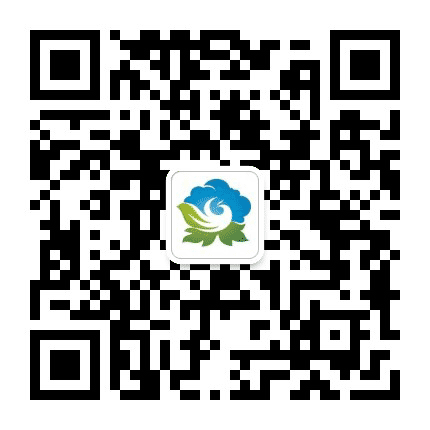 青羊城市综合管理公众号二维码