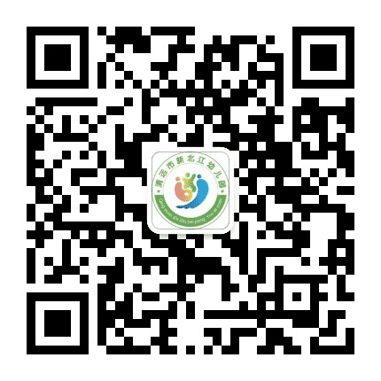 清远市新北江幼儿园公众号二维码