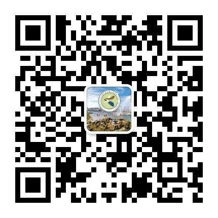 柯城人大公众号二维码