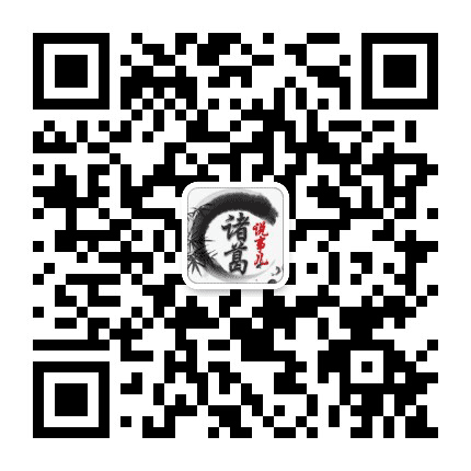 诸葛说事儿公众号二维码