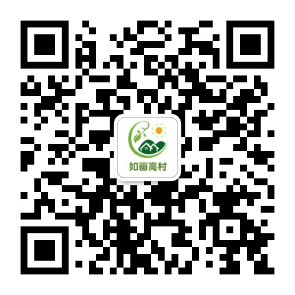 如画高村公众号二维码