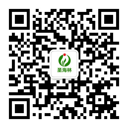 圣海林公众号二维码