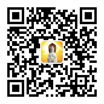 三宝苑公众号二维码