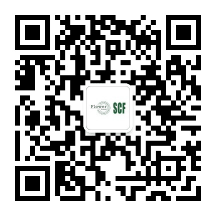 四川插花艺术大讲堂公众号二维码