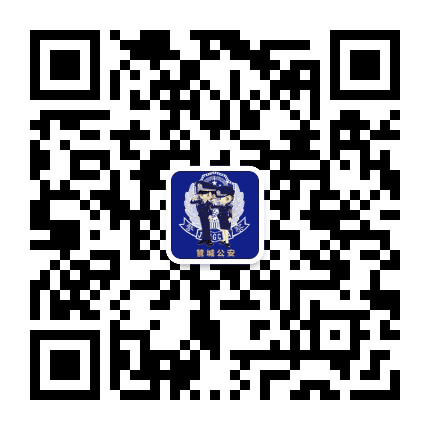 平安商城路公众号二维码