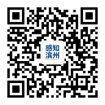 感知滨州公众号二维码