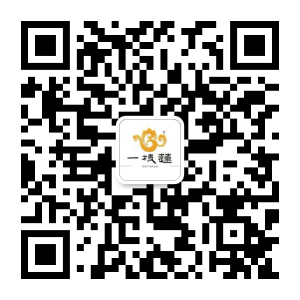 泰山一枝莲公众号二维码