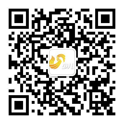 山东电视少儿频道公众号二维码