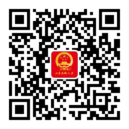 山东禹城人大公众号二维码