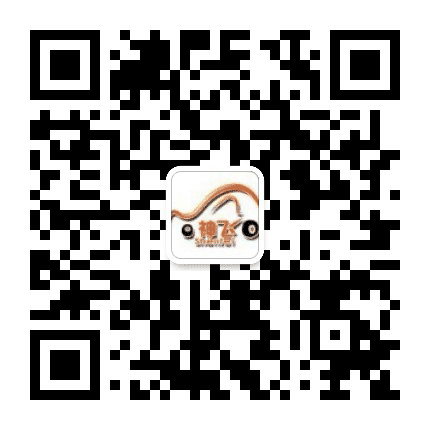 呼伦贝尔神飞租车公众号二维码