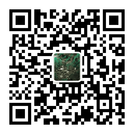 上海浦江画院公众号二维码