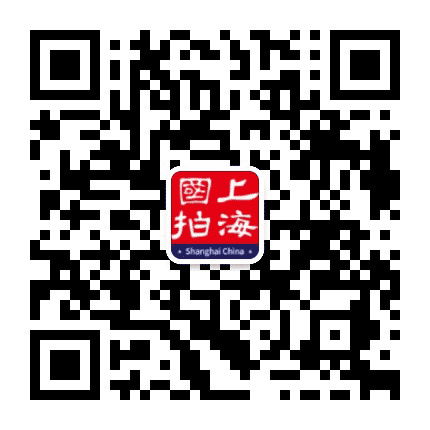 上海国拍公众号二维码