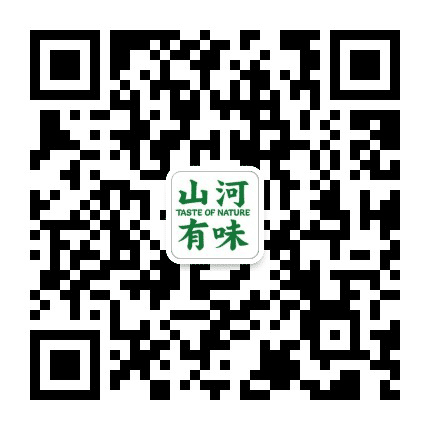 山河有味Studio公众号二维码