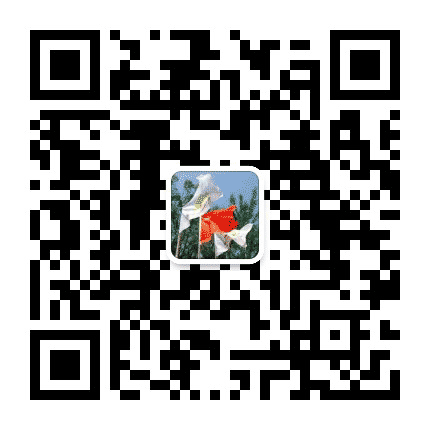 沈阳森林幼儿园公众号二维码
