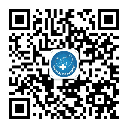 关爱宠物公众号二维码