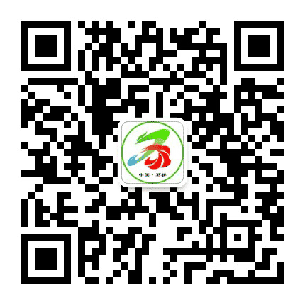魅力石桥公众号二维码