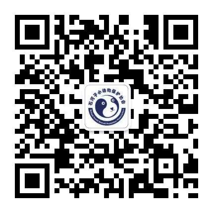 石河子小动物保护协会公众号二维码