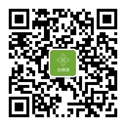 四棵通公众号二维码