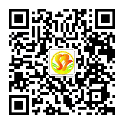 上海市黄浦区四川南路小学公众号二维码