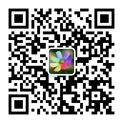 甜心浪漫小集公众号二维码