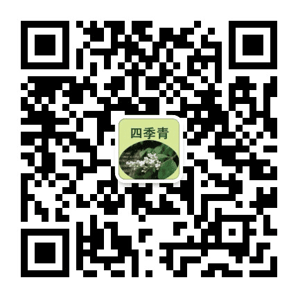 四季青生活馆公众号二维码