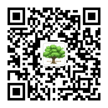 上海市松江青少年体育俱乐部公众号二维码