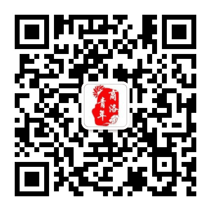 商洛青年公众号二维码