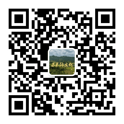 苏木绰文化公众号二维码