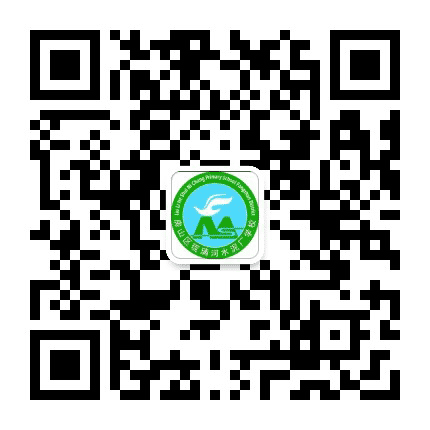 琉璃河水泥厂学校公众号二维码