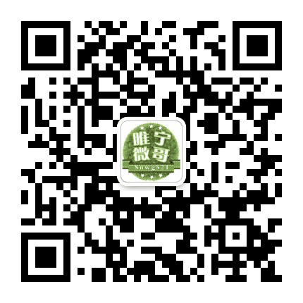 睢宁微哥公众号二维码
