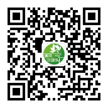 清风沙坡头公众号二维码