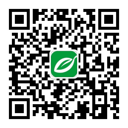 汕头橄榄台公众号二维码