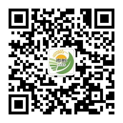 乡村振兴孵化器联盟公众号二维码
