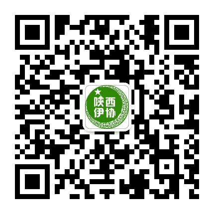 陕西伊协公众号二维码