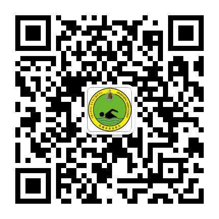 运城市游泳协会公众号二维码
