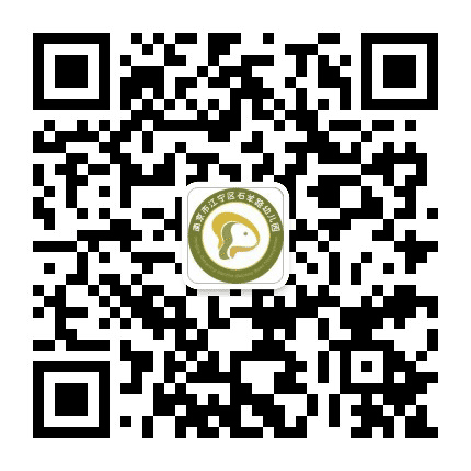 江宁区石羊路幼儿园公众号二维码